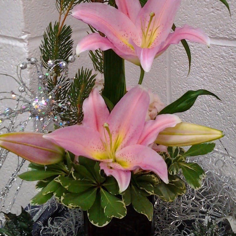 Meet your Posher, Lori